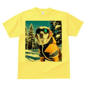 S[fgo[ TVc Y LbY t@  t  vg JWA 킢 lԗp h ̃fUC ʔ XL[EFA S[fgo[ XL[S