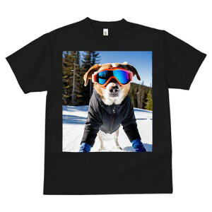 {[_[R[ TVc fB[X t@  t  vg JWA 킢 lԗp h ̃fUC ʔ XL[ {[_[R[ ~  XL[EFA