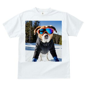 {[_[R[ TVc fB[X t@  t  vg JWA 킢 lԗp h ̃fUC ʔ XL[ {[_[R[ ~  XL[EFA