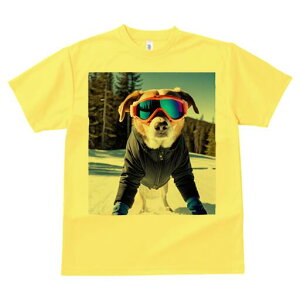 {[_[R[ TVc Y LbY t@  t  vg JWA 킢 lԗp h ̃fUC ʔ XL[ {[_[R[ ~  XL[EFA