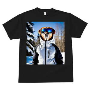 S[fg[o[ TVc fB[X t@  t  vg JWA 킢 lԗp h ̃fUC ʔ XL[EFA S[fg[o[ XL[