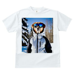 S[fg[o[ TVc Y LbY t@  t  vg JWA 킢 lԗp h ̃fUC ʔ XL[EFA S[fg[o[ XL