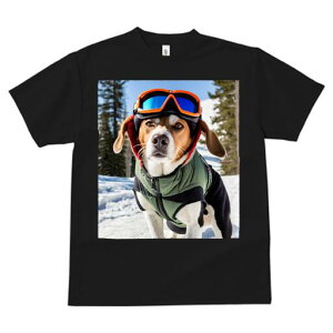 r[O TVc fB[X t@  t  vg JWA 킢 lԗp h ̃fUC ʔ XL[ r[O  ~ XL[EFA