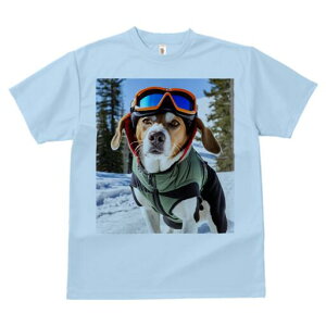 r[O TVc Y LbY t@  t  vg JWA 킢 lԗp h ̃fUC ʔ XL[ r[O  ~ XL[EFA