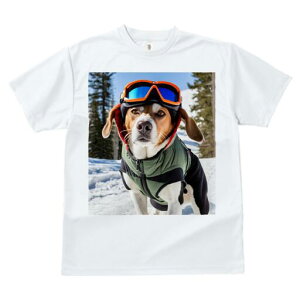 r[O TVc fB[X t@  t  vg JWA 킢 lԗp h ̃fUC ʔ XL[ r[O  ~ XL[EFA