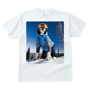 s TVc fB[X t@  t  vg JWA 킢 lԗp h ̃fUC ʔ XL[ s XL[EFA S[O R