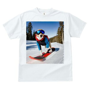 r[O TVc fB[X t@  t  vg JWA 킢 lԗp h ̃fUC ʔ Xm[{[h r[O XL[EFA S[O R