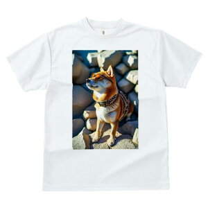 Č TVc fB[X t@  t  vg JWA 킢 lԗp h ̃fUC ʔ TOX Č 