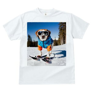 r[O TVc fB[X t@  t  vg JWA 킢 lԗp h ̃fUC ʔ XL[ r[O XL[EFA S[O R