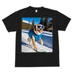 Č TVc fB[X t@  t  vg JWA 킢 lԗp h ̃fUC ʔ XL[ Č ~  XL[EFA