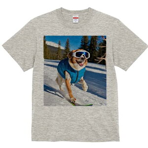 Č TVc Y LbY t@  t  vg JWA 킢 lԗp h ̃fUC ʔ XL[ Č ~  XL[EFA