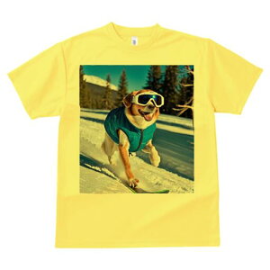 Č TVc Y LbY t@  t  vg JWA 킢 lԗp h ̃fUC ʔ XL[ Č ~  XL[EFA