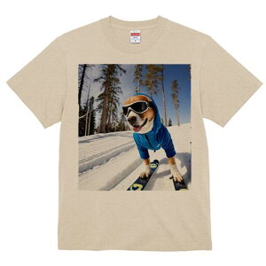 r[O TVc Y LbY t@  t  vg JWA 킢 lԗp h ̃fUC ʔ XL[ r[O  ~ XL[EFA