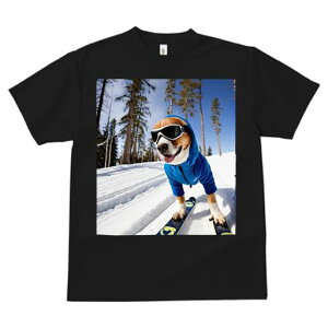 r[O TVc fB[X t@  t  vg JWA 킢 lԗp h ̃fUC ʔ XL[ r[O  ~ XL[EFA