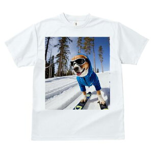 r[O TVc fB[X t@  t  vg JWA 킢 lԗp h ̃fUC ʔ XL[ r[O  ~ XL[EFA