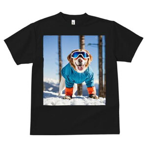 S[fgo[ TVc fB[X t@  t  vg JWA 킢 lԗp h ̃fUC ʔ XL[ S[fgo[ ~  XL[EFA