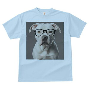 AJuhbO TVc Y LbY t@  t  vg JWA 킢 lԗp h ̃fUC ʔ Kl AJuhbO