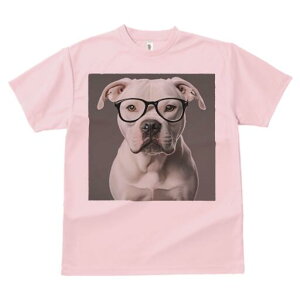 AJuhbO TVc Y LbY t@  t  vg JWA 킢 lԗp h ̃fUC ʔ Kl AJuhbO