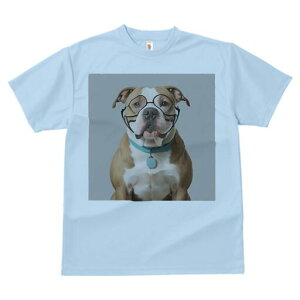 AJuhbO TVc Y LbY t@  t  vg JWA 킢 lԗp h ̃fUC ʔ Kl AJuhbO 