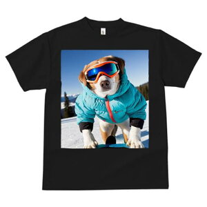 r[O TVc Y LbY t@  t  vg JWA 킢 lԗp h ̃fUC ʔ XL[ r[O XL[EFA S[O ~