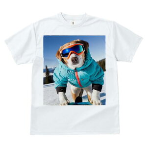 r[O TVc fB[X t@  t  vg JWA 킢 lԗp h ̃fUC ʔ XL[ r[O XL[EFA S[O ~