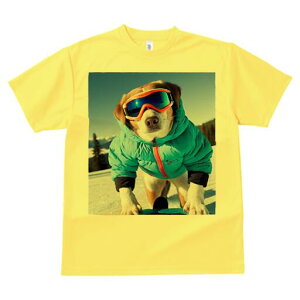 r[O TVc Y LbY t@  t  vg JWA 킢 lԗp h ̃fUC ʔ XL[ r[O XL[EFA S[O ~