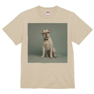 AJuhbO TVc Y LbY t@  t  vg JWA 킢 lԗp h ̃fUC ʔ Kl AJuhbO 