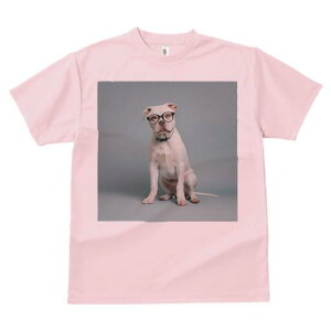 AJuhbO TVc Y LbY t@  t  vg JWA 킢 lԗp h ̃fUC ʔ Kl AJuhbO 