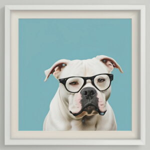 Kl AJuhbO NbVJo[ 45×45cm Aj}   NbV{̕t ` t@