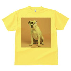 AJsbgueA TVc Y LbY t@  t  vg JWA 킢 lԗp h ̃fUC ʔ Kl AJsbgueA