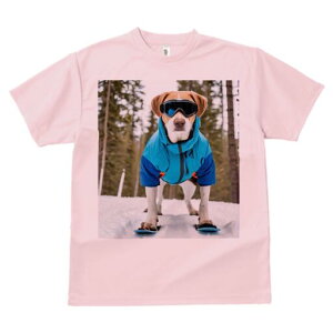 r[O TVc Y LbY t@  t  vg JWA 킢 lԗp h ̃fUC ʔ XL[EFA r[O XL[S[O  ~