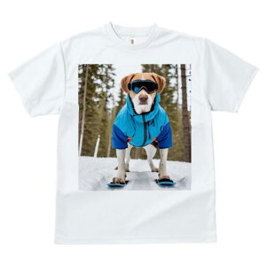 r[O TVc fB[X t@  t  vg JWA 킢 lԗp h ̃fUC ʔ XL[EFA r[O XL[S[O  ~