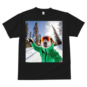 r[O TVc fB[X t@  t  vg JWA 킢 lԗp h ̃fUC ʔ XL[ r[O XL[EFA S[O R