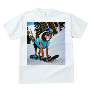 s TVc fB[X t@  t  vg JWA 킢 lԗp h ̃fUC ʔ Xm[{[h s R ~ XL[EFA