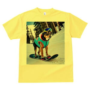 s TVc Y LbY t@  t  vg JWA 킢 lԗp h ̃fUC ʔ Xm[{[h s R ~ XL[EFA