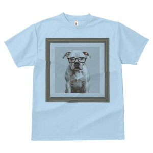 AJuhbO TVc Y LbY t@  t  vg JWA 킢 lԗp h ̃fUC ʔ Kl AJuhbO z