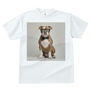 AJuhbO TVc fB[X t@  t  vg JWA 킢 lԗp h ̃fUC ʔ Kl AJuhbO lN^C