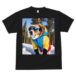 R[M[ TVc fB[X t@  t  vg JWA 킢 lԗp h ̃fUC ʔ XL[EFA R[M[  ~ XL[S[O