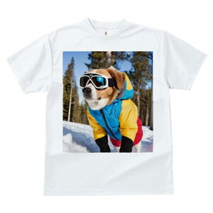 R[M[ TVc fB[X t@  t  vg JWA 킢 lԗp h ̃fUC ʔ XL[EFA R[M[  ~ XL[S[O