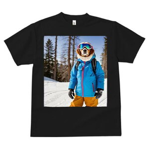 Zgo[i[h TVc fB[X t@  t  vg JWA 킢 lԗp h ̃fUC ʔ XL[EFA Zgo[i[h XL[S[O R 