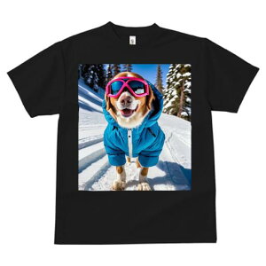 {[_[R[ TVc fB[X t@  t  vg JWA 킢 lԗp h ̃fUC ʔ XL[ {[_[R[ R XL[EFA ~