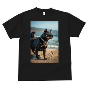 JC TVc fB[X t@  t  vg JWA 킢 lԗp h ̃fUC ʔ TOX JC r[` C