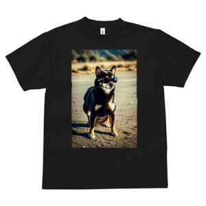 Č TVc fB[X t@  t  vg JWA 킢 lԗp h ̃fUC ʔ TOX Č