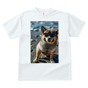 Č TVc fB[X t@  t  vg JWA 킢 lԗp h ̃fUC ʔ TOX Č C