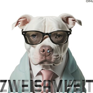 lN^C AJsbgueA X[c ዾ NbVJo[ 45×45cm Aj}   NbV{̕t ` t@