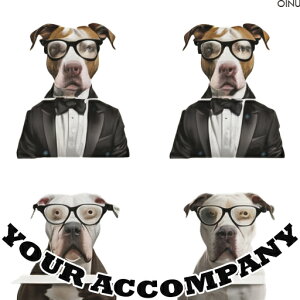 ^LV[h AJsbgueA ዾ NbVJo[ 45×45cm Aj}   NbV{̕t ` t@