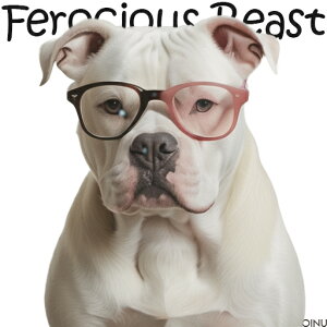 Kl AJuhbO NbVJo[ 45×45cm Aj}   NbV{̕t ` t@