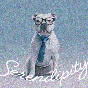 Kl AJuhbO lN^C NbVJo[ 45×45cm Aj}   NbV{̕t ` t@