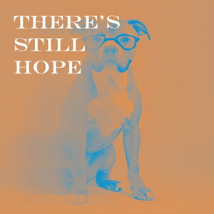 Kl AJsbgueA NbVJo[ 45×45cm Aj}   NbV{̕t ` t@