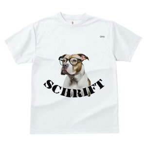 AJsbgueA TVc fB[X t@  t  vg JWA 킢 lԗp h ̃fUC ʔ Kl AJsbgueA